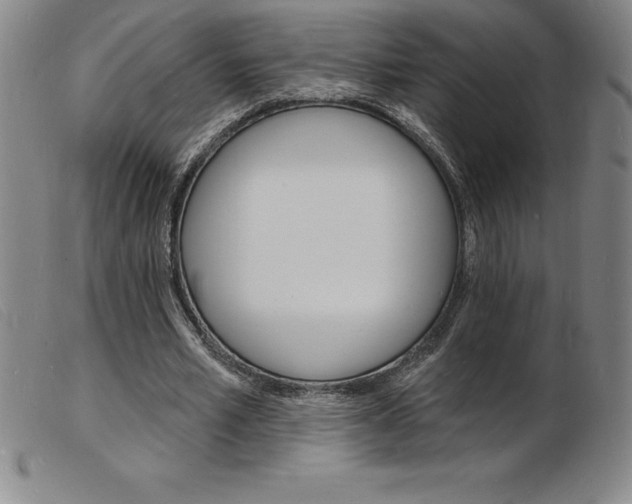X0000103970581200809191401
