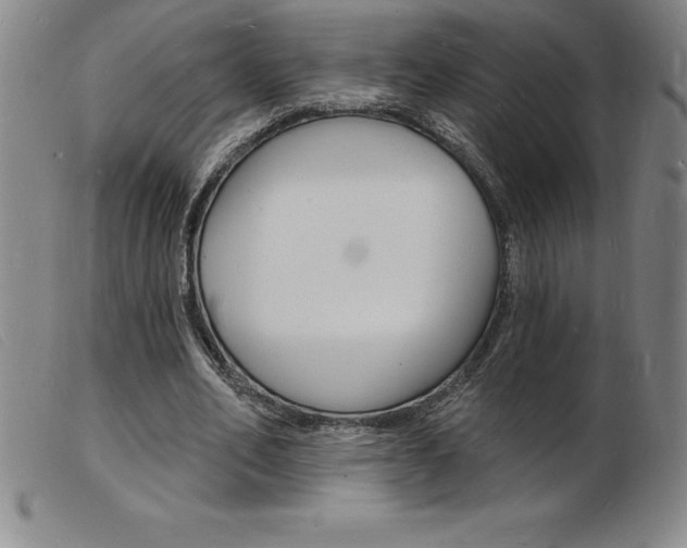 X0000103970582200809191401