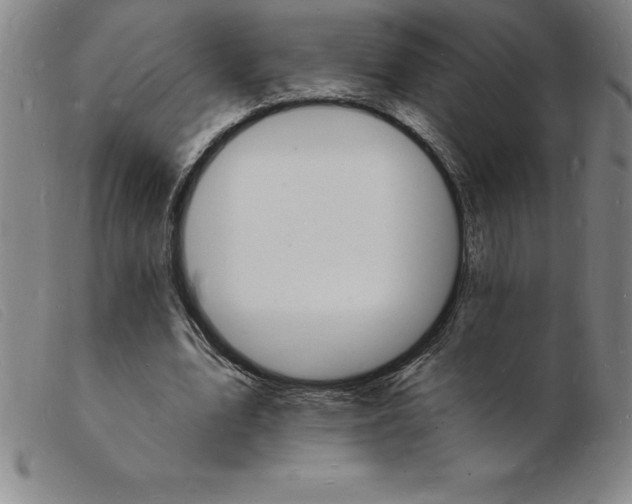 X0000103970583200809191401