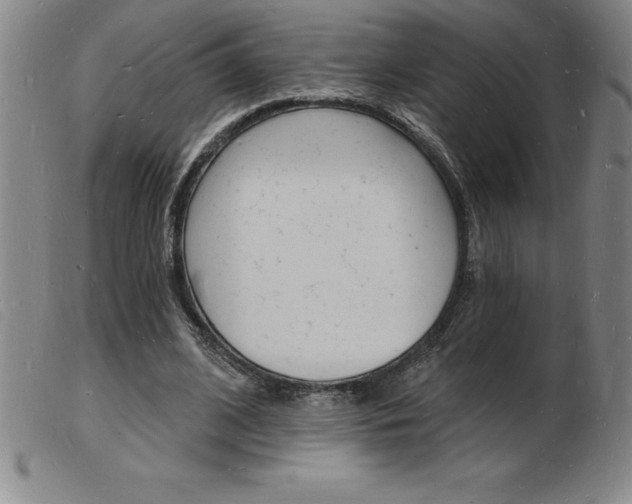 X0000103970584200809191401
