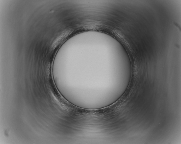 X0000103970586200809191401