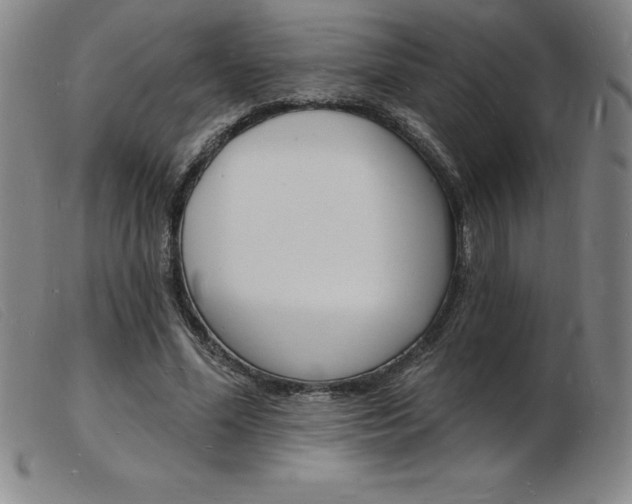 X0000103970588200809191401