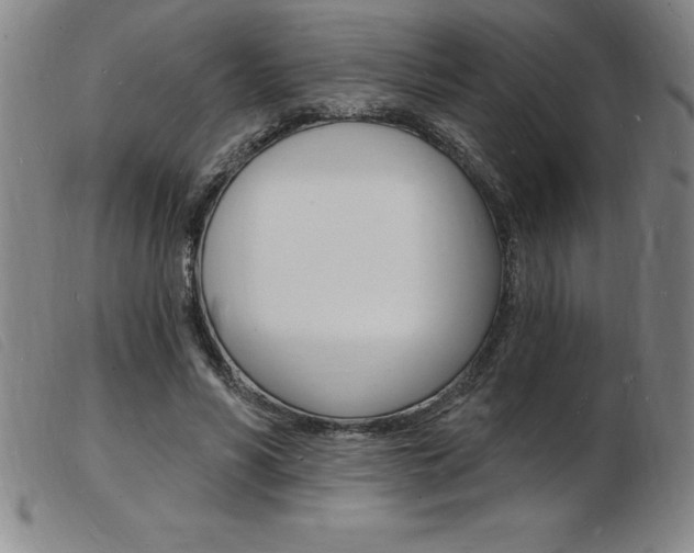 X0000103970590200809191401