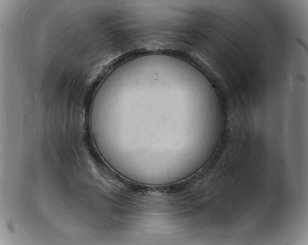 X0000103970592200809191401
