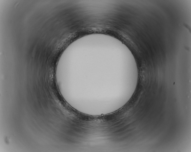 X0000103970593200809191401