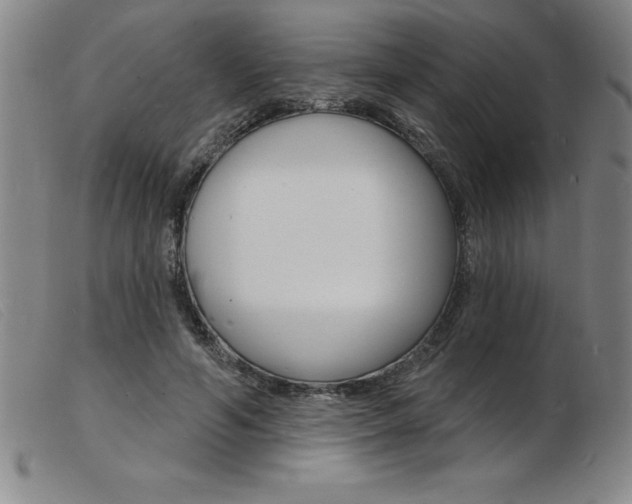 X0000103970594200809191401