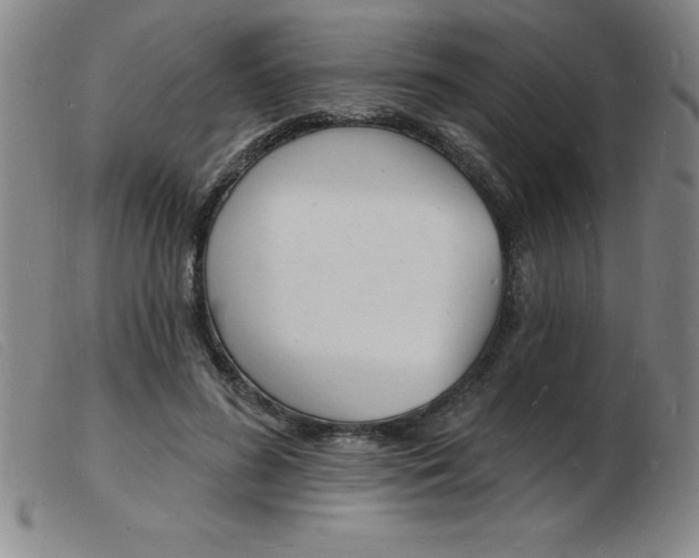 X0000103970596200809191400