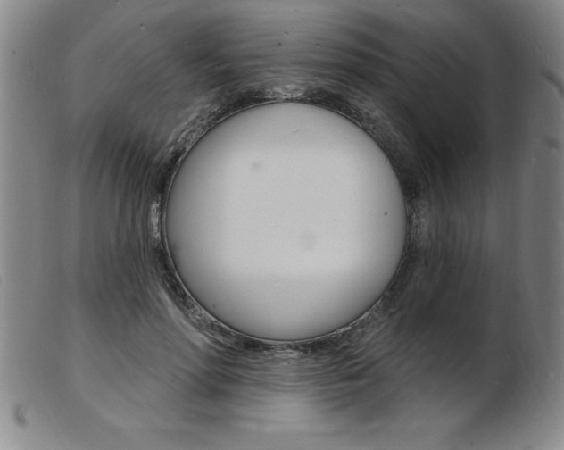X0000103970598200809191400
