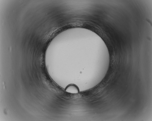 X0000103970600200809191400