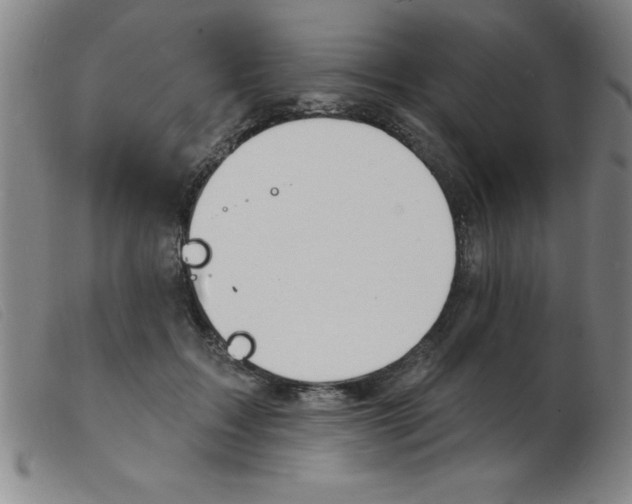 X0000103970603200809191400