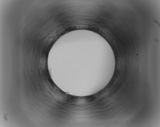 X0000103970604200809191400