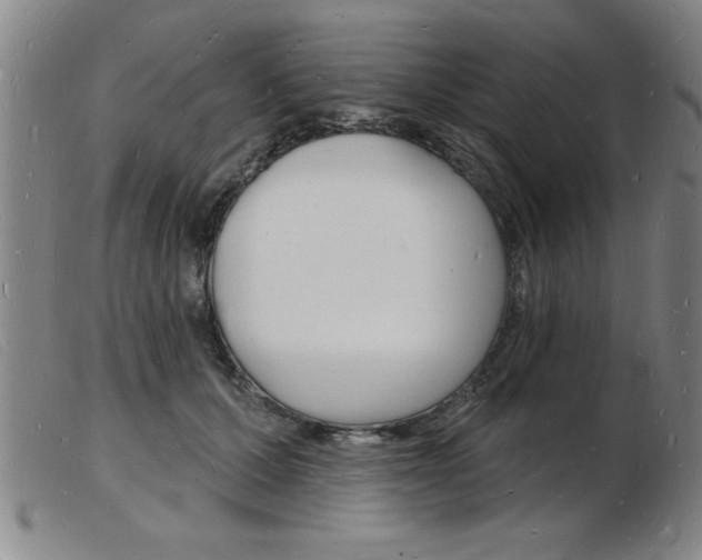 X0000103970607200809191400