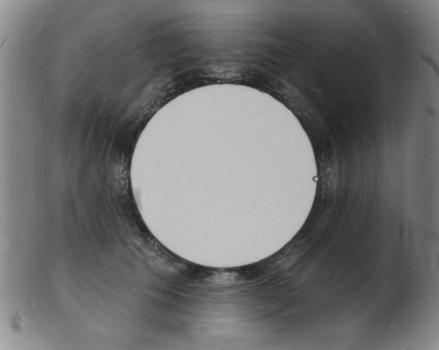 X0000103970609200809191400