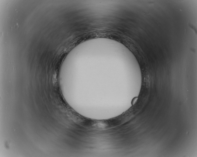 X0000103970610200809191400