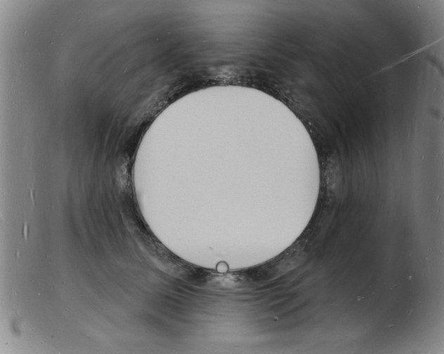 X0000103970611200809191400