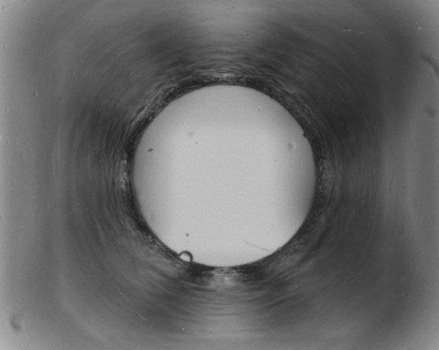 X0000103970612200809191400