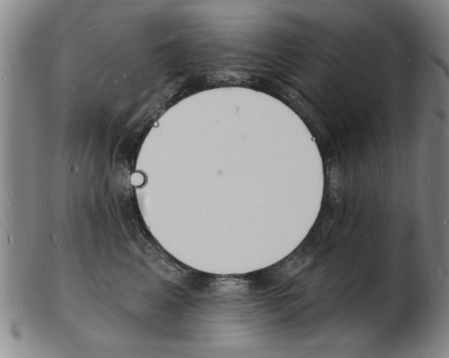 X0000103970617200809191400