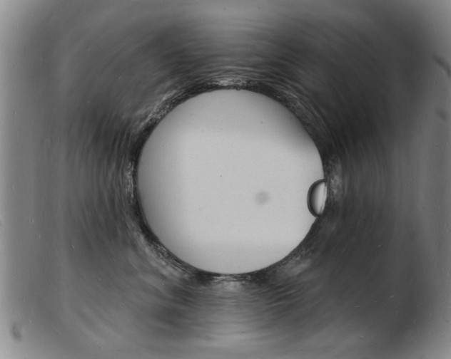 X0000103970620200809191400
