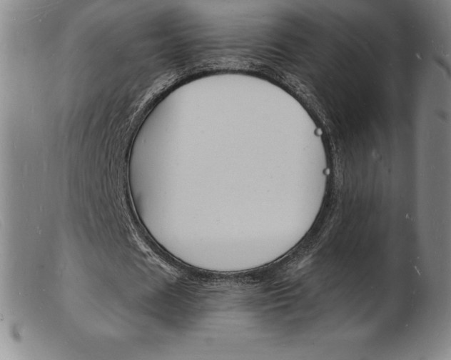 X0000103970625200809191359