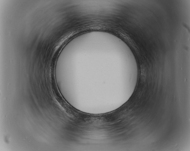 X0000103970626200809191359