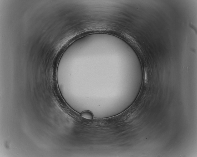 X0000103970627200809191359