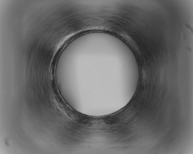X0000103970628200809191359