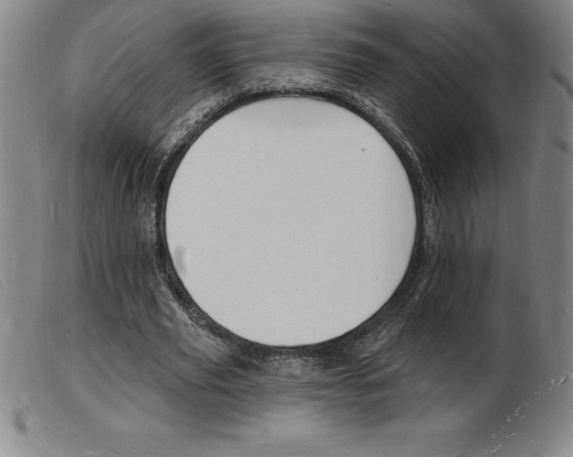 X0000103970629200809191359