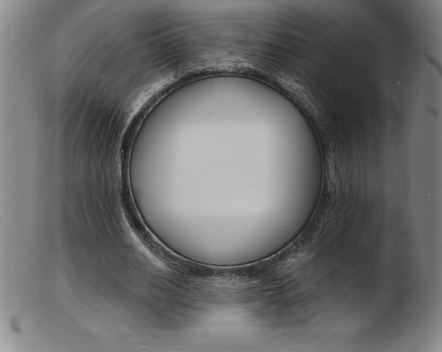 X0000103970630200809191359