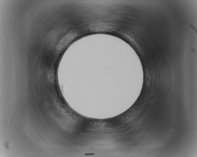 X0000103970631200809191359