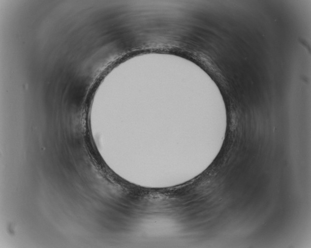 X0000103970632200809191359