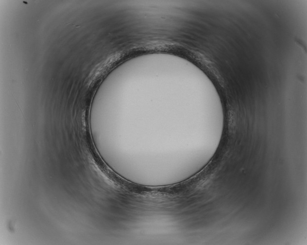 X0000103970633200809191359