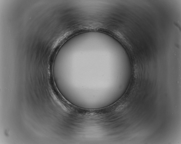 X0000103970634200809191359