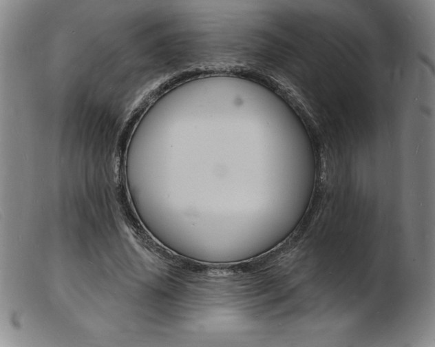 X0000103970636200809191400