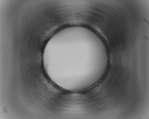 X0000103970637200809191400