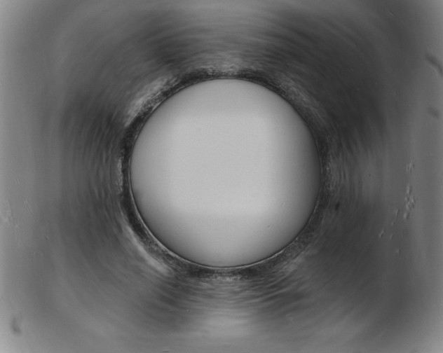 X0000103970638200809191400
