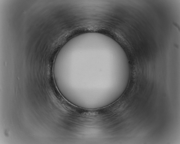 X0000103970639200809191400
