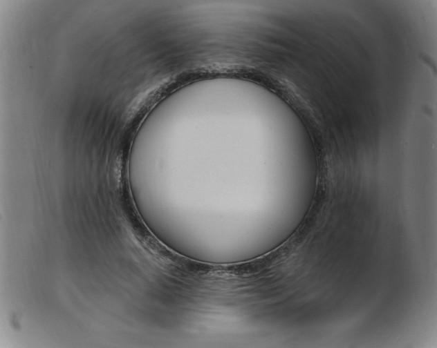 X0000103970640200809191400
