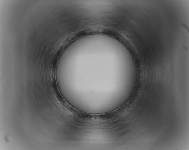 X0000103970641200809191400
