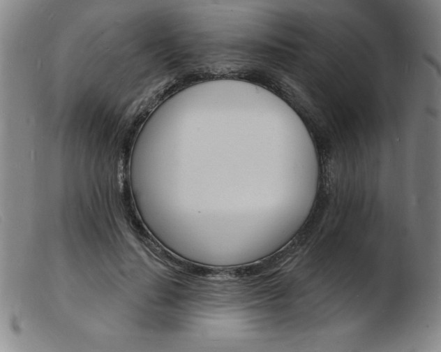 X0000103970644200809191400