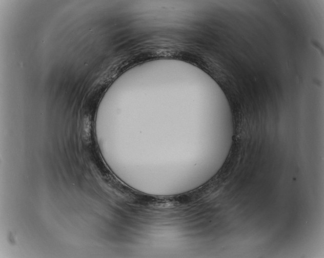 X0000103970646200809191400