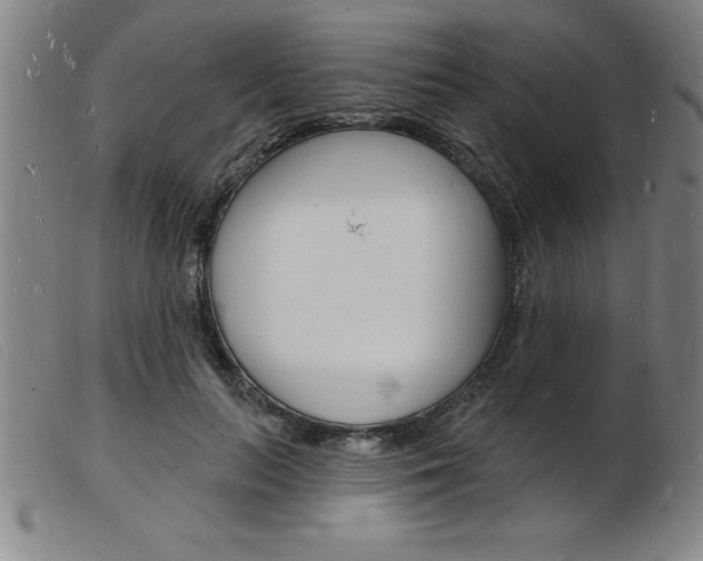 X0000103970647200809191400