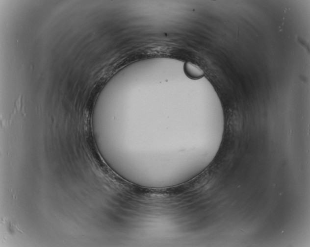 X0000103970649200809191400