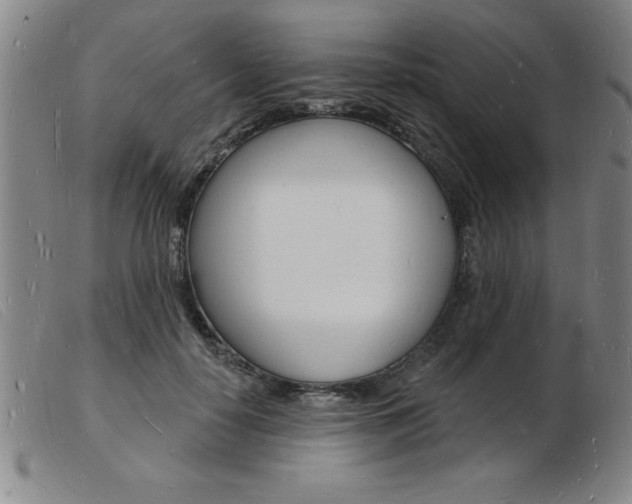 X0000103970650200809191400