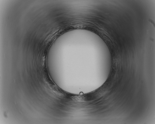 X0000103970652200809191400