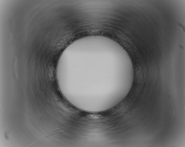 X0000103970654200809191400