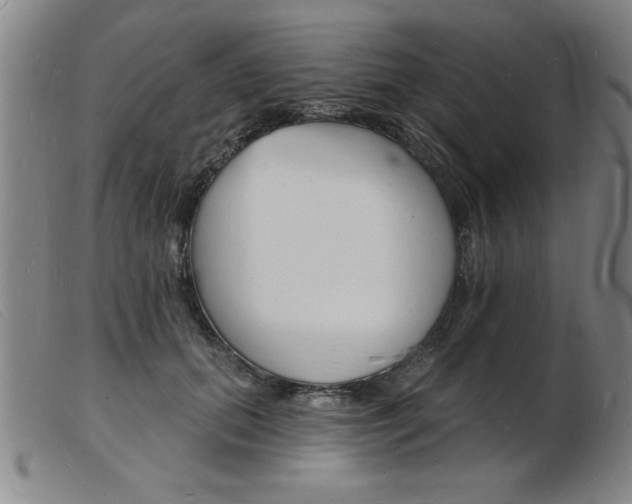 X0000103970655200809191400