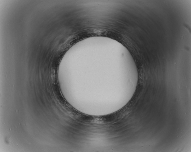 X0000103970656200809191400