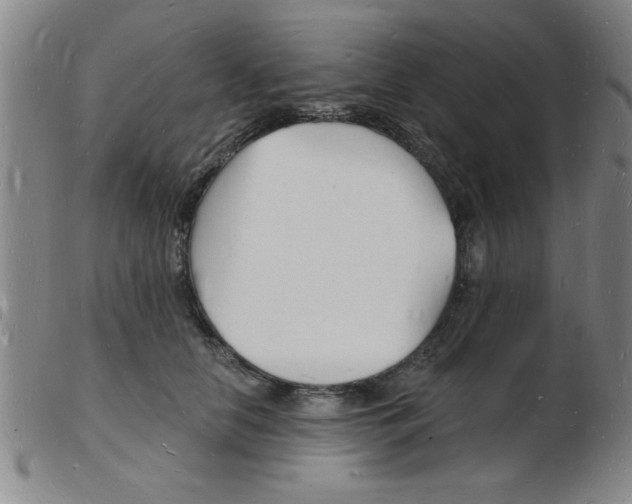 X0000103970658200809191400