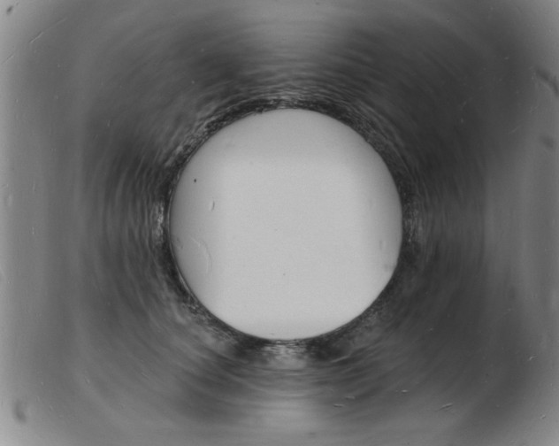 X0000103970660200809191400