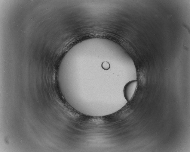 X0000103970668200809191400
